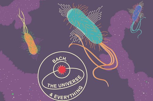 Bach, the Universe and Everything: Can Bacterium Compute?