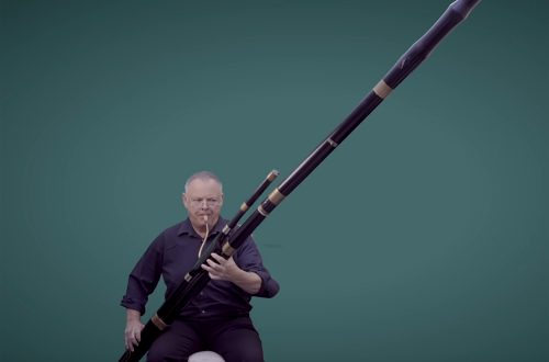 David Chatterton introduces Beethoven's contrabassoon