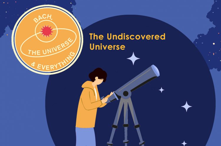 The Undiscovered Universe